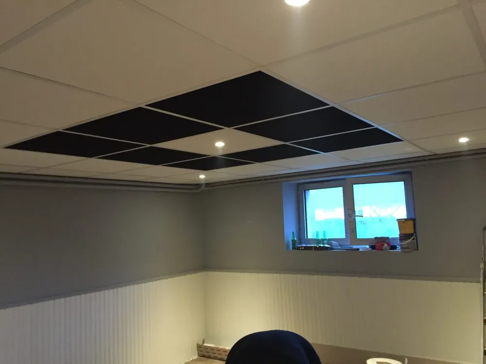 bg-faux-plafond